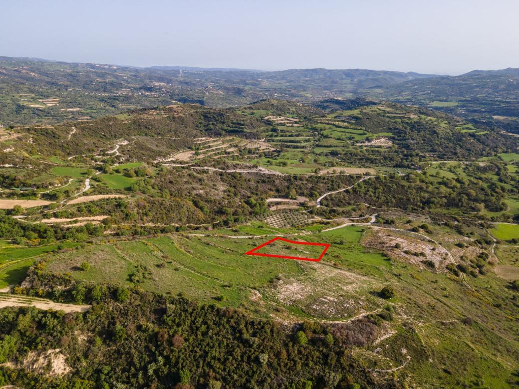 Agricultural for sale in Γ3 - Psathi (Paphos), 8182