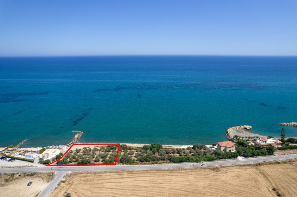 Agricultural for sale in Γ3 Agios Theodoros Larnacas (Larnaca), 8413